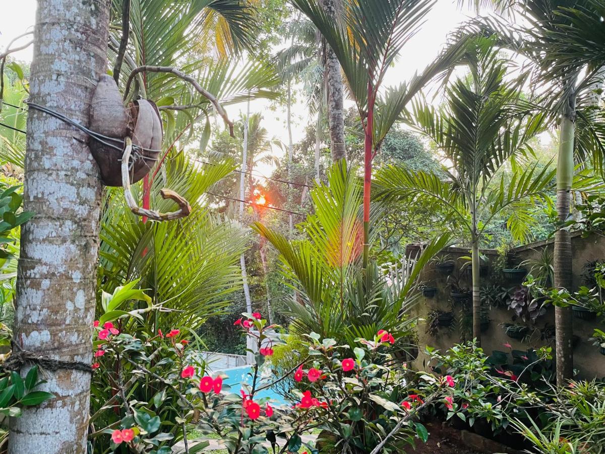 Bouganvilla House Unawatuna Εξωτερικό φωτογραφία